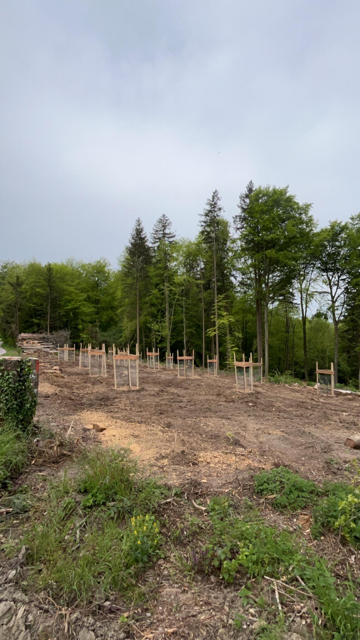 Défrichement et déboisement dans le Jura — SAS POLYVIER